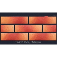 Фасадна термопанель з клінкерною плиткою Таурус роса, Paradyz